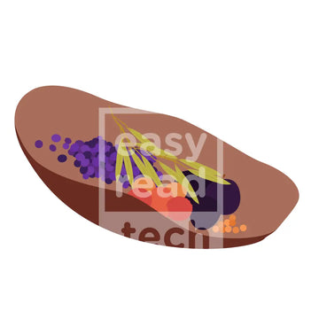 Bush Tucker Food In Coolamon
