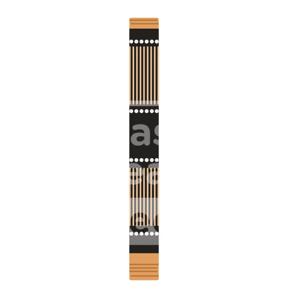 Rainstick