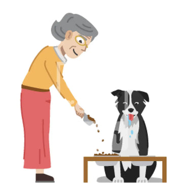 Senior Woman Feeding The Dog