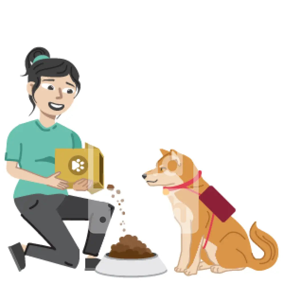 Feeding The Dog
