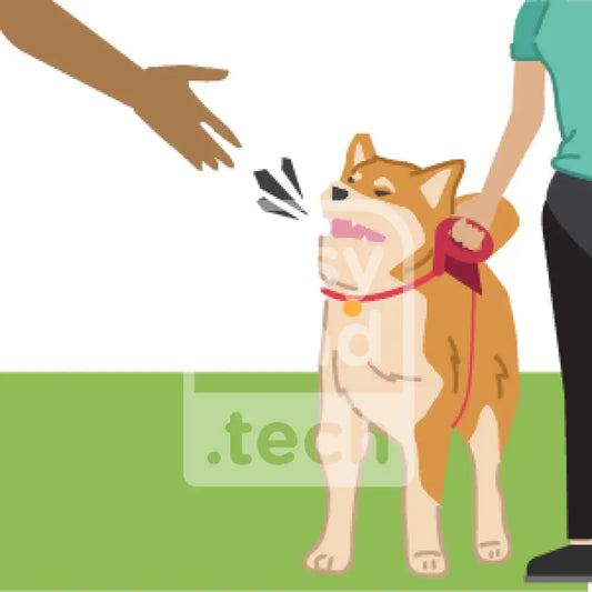 Dog Barking At Hand