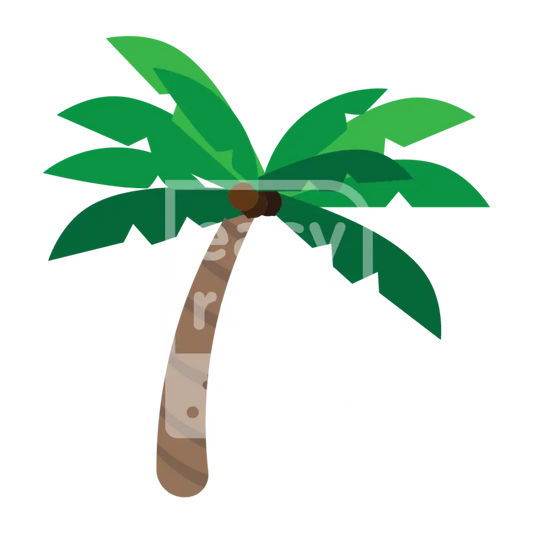 Palm Tree