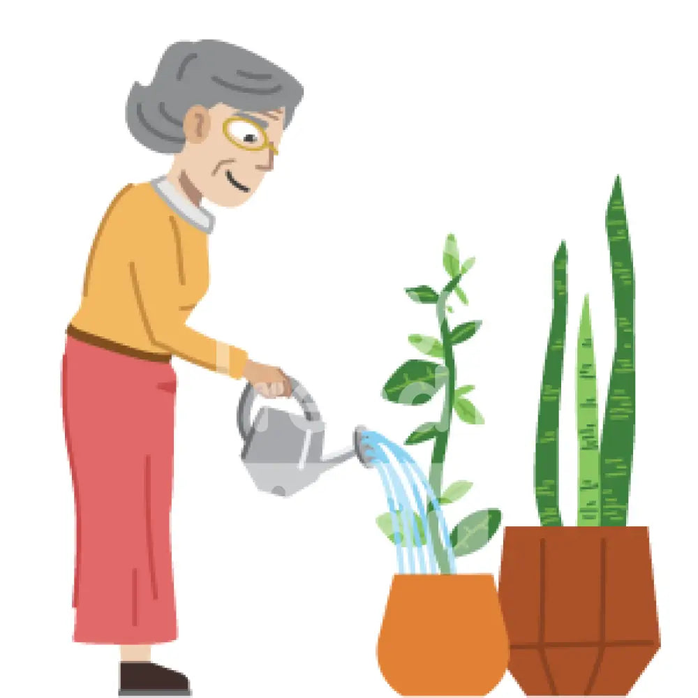 Senior Woman Watering The Plants